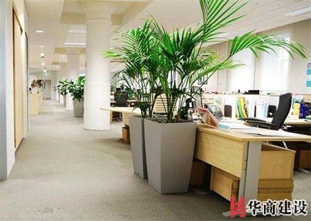 辦公室裝修的五大原則,原來要這樣設計!